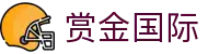 赏金国际 - 赏金国际下载 - app下载客户端
